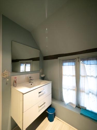 une salle de bain avec un lavabo et un miroir dans l'établissement Les Cieux de la Cathédrale - Calme - Jardin - Wifi, à Troyes