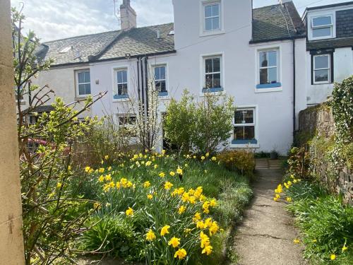 a white house with a garden of yellow flowers at Bamse Self-Catering Ensuite Rooms with Shared Kitchen in Montrose