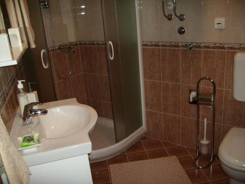 y baño con ducha, lavabo y aseo. en Apartment Nemarnik, en Roč