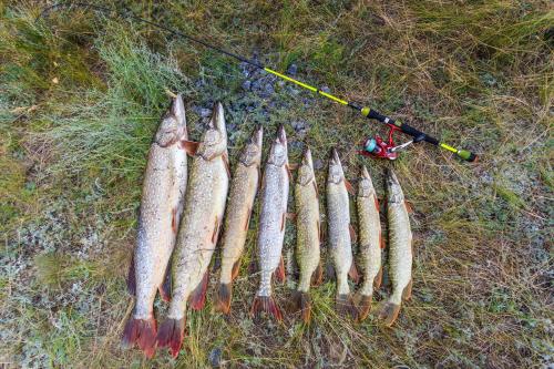 OMEO Clearlake oaks – Photos 5