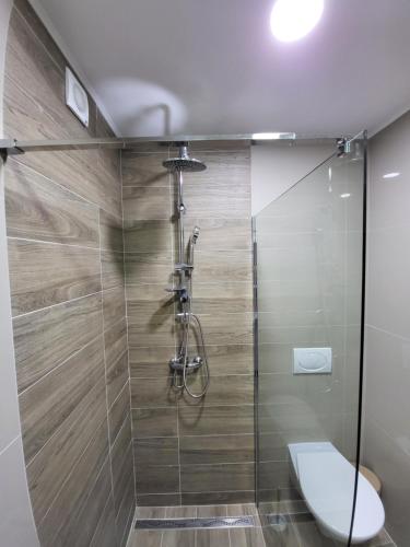 La salle de bains est pourvue d'une douche en verre et de toilettes. dans l'établissement Silver Jordan, à Ostrovo