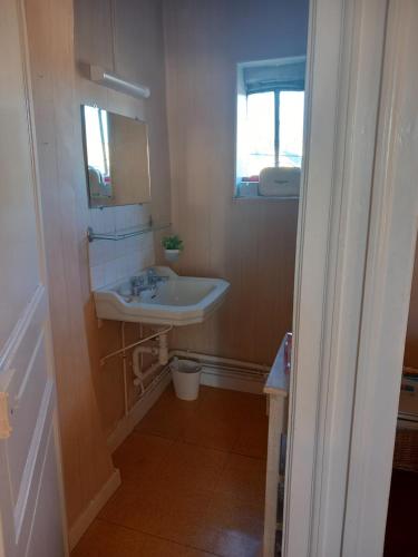 uma pequena casa de banho com um lavatório e uma janela em Chambres à louer centre-ville em Le Mans
