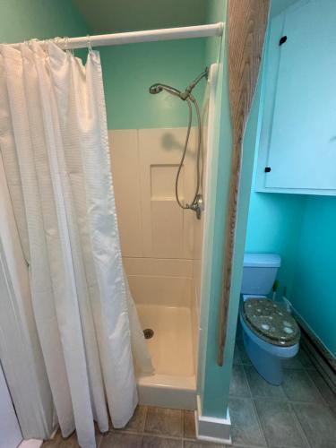 a bathroom with a shower and a toilet at Seaside Retreat in Wachapreague