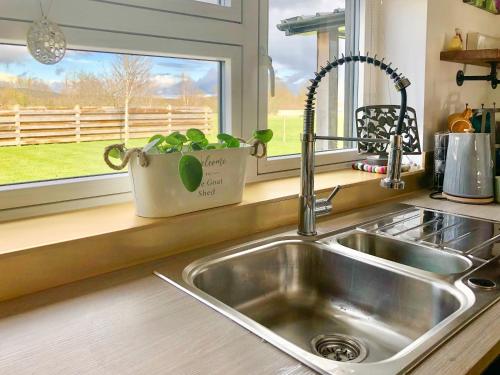 um lavatório de cozinha com um vaso de plantas numa janela em The Goat Shed em Hadlow