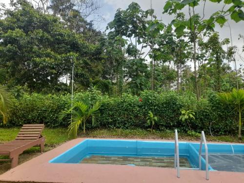 una piscina azul con un banco y árboles en Chava Camping Rio Celeste, en Rio Celeste