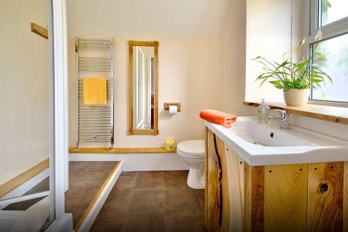 a bathroom with a sink and a toilet and a mirror at Dol Peris in Llanberis