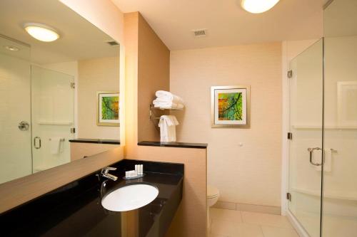 a bathroom with a sink and a toilet and a mirror at Fairfield Inn & Suites by Marriott Durango in Durango