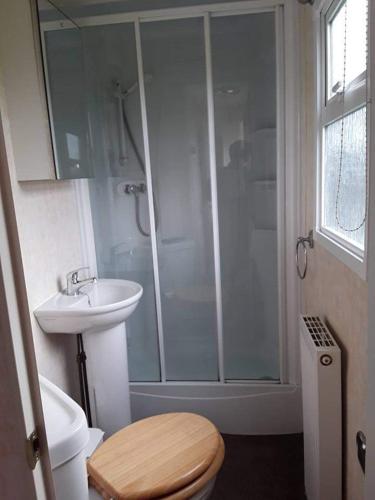 een badkamer met een douche, een toilet en een wastafel bij Rhosfeillion Static Caravan in Llangefni