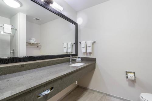 La salle de bains est pourvue d'un lavabo et d'un grand miroir. dans l'établissement Fairfield Inn & Suites Columbia, à Columbia