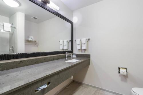 a bathroom with a sink and a large mirror at Fairfield Inn & Suites Columbia in Columbia