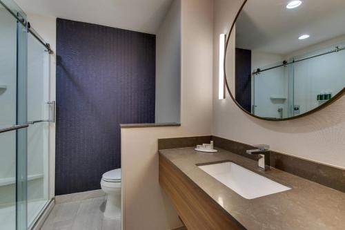 a bathroom with a sink and a mirror at Fairfield Inn and Suites by Marriott Houston Brookhollow in Houston