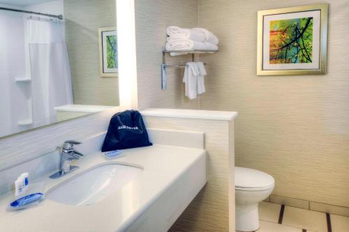 普林斯頓的住宿－普林斯頓萬豪費爾菲爾德套房酒店，一间带水槽和卫生间的浴室