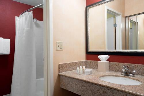 印第安納波利斯的住宿－Courtyard by Marriott Indianapolis Airport，一间带水槽、镜子和淋浴的浴室