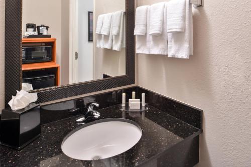 La salle de bains est pourvue d'un lavabo et d'un miroir. dans l'établissement Fairfield Inn & Suites by Marriott Ocala, à Ocala