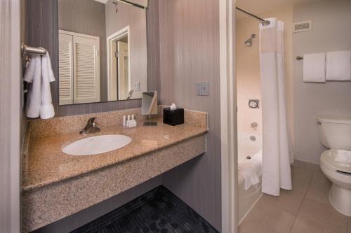 a bathroom with a sink and a toilet and a mirror at Courtyard by Marriott Dulles Airport Chantilly in Chantilly