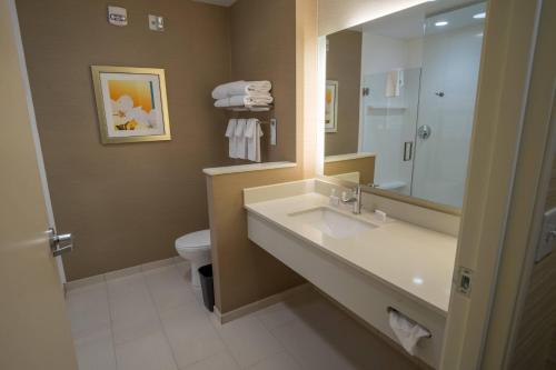 a bathroom with a sink and a toilet and a mirror at Fairfield Inn & Suites by Marriott Wisconsin Dells in Wisconsin Dells