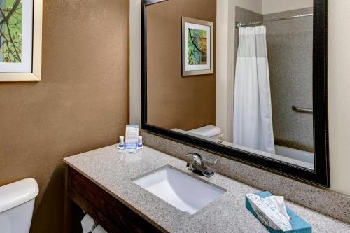 a bathroom with a sink and a toilet and a mirror at Fairfield Inn by Marriott Dothan in Dothan
