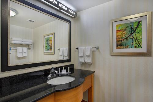 a bathroom with a sink and a mirror at Fairfield Inn & Suites Kodak in Kodak