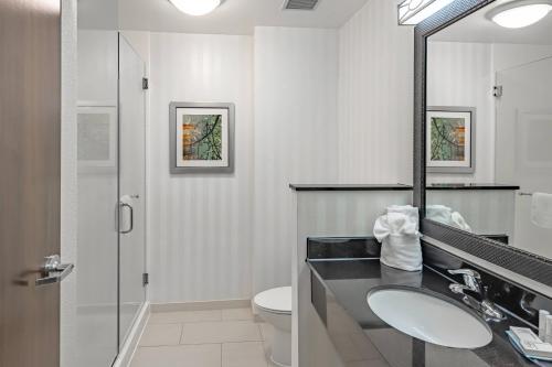 a bathroom with a sink and a toilet and a mirror at Fairfield Inn & Suites by Marriott New Braunfels in New Braunfels