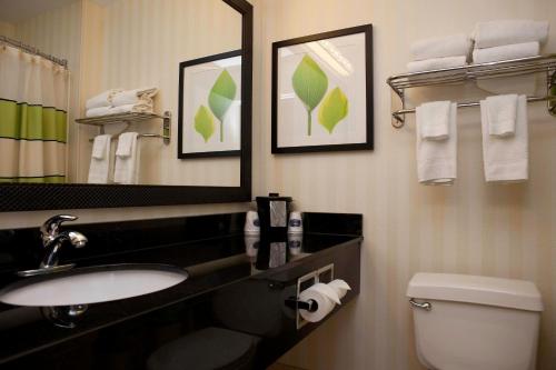 uma casa de banho com um lavatório, um WC e um espelho. em Fairfield Inn & Suites Joliet North/Plainfield em Joliet