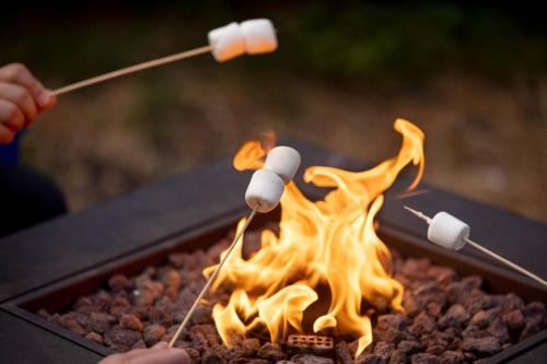 a person cooking marshmallows over a grill with fire at Americana Motor Hotel in Flagstaff