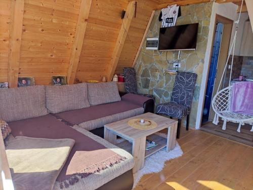 a living room with a couch and a tv in a cabin at The view in Bijelo Polje