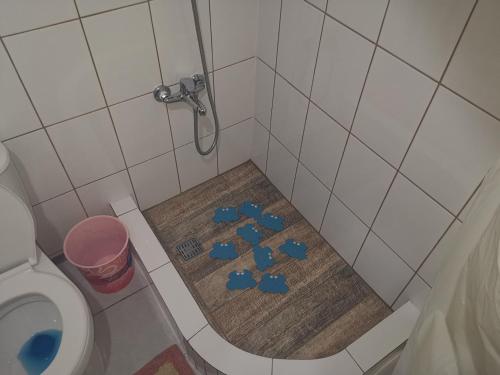Hostal y Cabañas Maribel Zuñiga في فالديفيا: حمام مع دش مع بلوكات زرقاء على الأرض