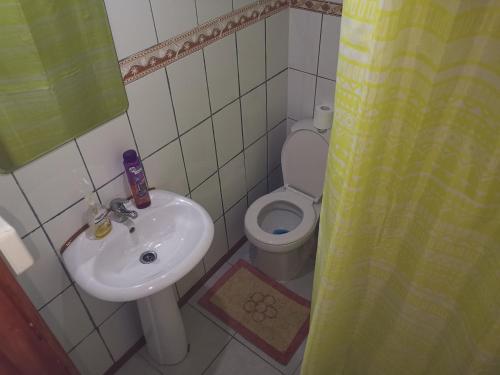 a small bathroom with a sink and a toilet at Hostal y Cabañas Maribel Zuñiga in Valdivia