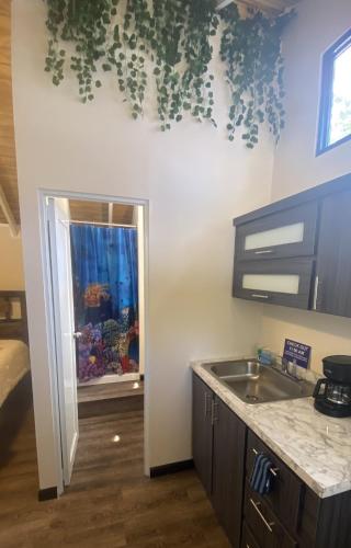 a kitchen with a sink and a fish tank at Blue House Joyuda in Cabo Rojo