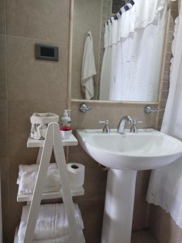 een badkamer met een wastafel, een spiegel en een toilet bij Hermosa energía in San Salvador de Jujuy
