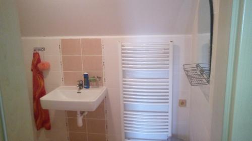 a bathroom with a sink and a white door at Country club Konírna in Šluknov