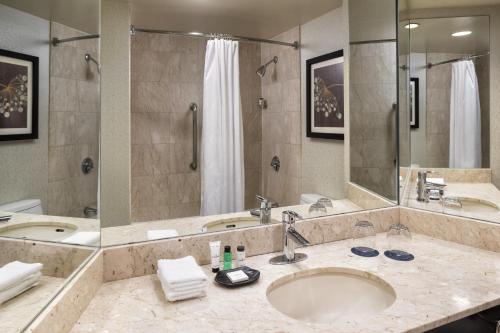 a bathroom with a sink and a large mirror at Sheraton Suites Chicago O'Hare in Rosemont