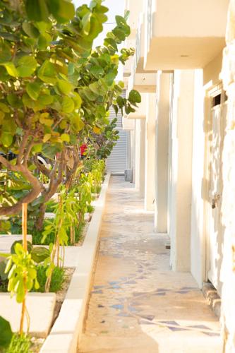 Giardino di Casa Viento Hotel