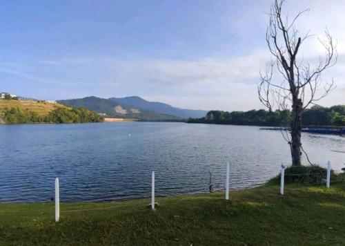 a tree sitting next to a body of water at Ipoh Cozy Lake View Homestay in Lahat