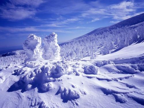 a snow covered mountain with trees in the background at Le Vert Zao in Zao Onsen