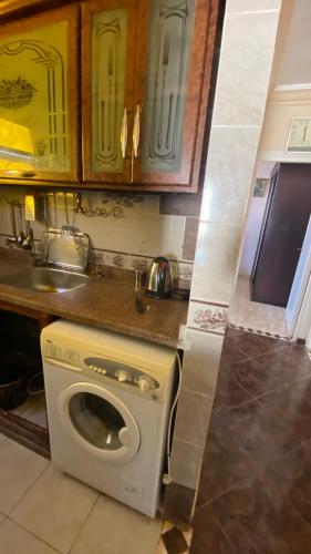 uma cozinha com uma máquina de lavar roupa e um lavatório em Alexandria apartment em Alexandria