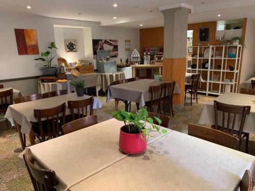 un restaurant avec des tables et des chaises avec une plante. dans l'établissement Hôtel Broisin, à Aix-les-Bains