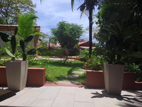 Un jardín fuera de Casa Mapache