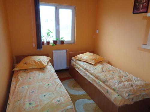 two beds sitting in a room with a window at Gasthaus Enduro Bica in Caransebeş