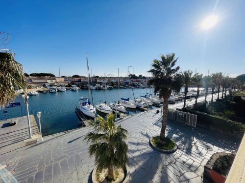 Superbe appartement au Cap d'Agde, piscine et parking - FR-1-723-3