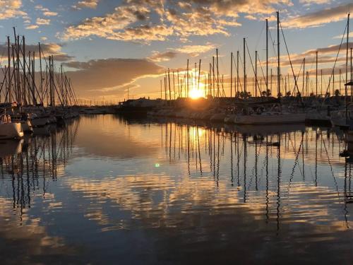 un groupe de bateaux amarrés dans une marina au coucher du soleil dans l'établissement Port, jardins, clim, calme, centre Cap d'Agde - FR-1-723-43, au Cap d'Agde