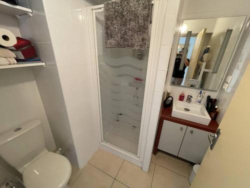 une salle de bain avec une douche, des toilettes et un lavabo dans l'établissement Studio moderne, centre port avec piscine, parking, climatisation - Cap d'Agde - FR-1-723-37, au Cap d'Agde