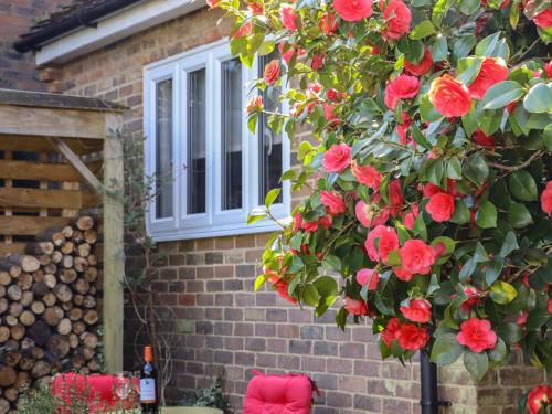 a bush with red flowers in front of a house at Paddock View in Maidstone
