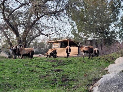 The KND ranch – Photos 3