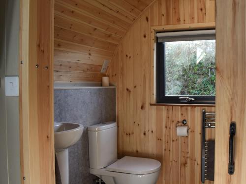 een badkamer met een toilet, een wastafel en een raam bij Wheal Breage - Uk41265 in Germoe