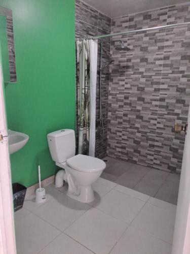 een badkamer met een toilet en een groene muur bij Laure hébergement in Faaa