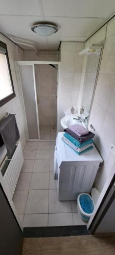 a small bathroom with a sink and a shower at Appartement "Les Câlins" in Ney