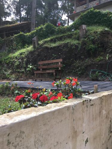 Κήπος έξω από το Casa del Bosque 1