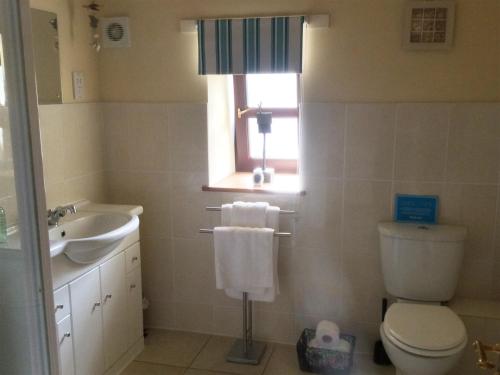 een badkamer met een toilet, een wastafel en een raam bij The Brae Steading in Fordyce