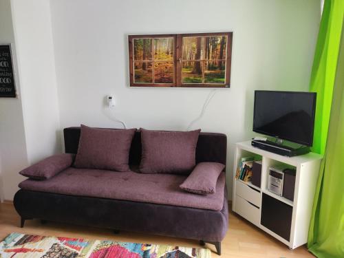 een woonkamer met een bank en een tv bij Ferienapartment Maria in Sankt Englmar in Sankt Englmar
